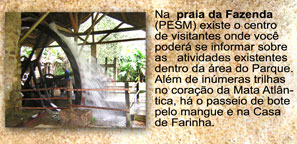 Roda d'água na casa da Farinha/Fazenda